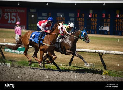 vancouver horse race track.
